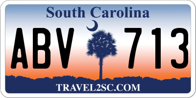 SC license plate ABV713