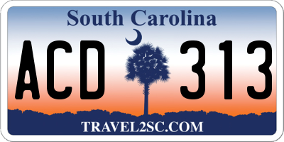SC license plate ACD313