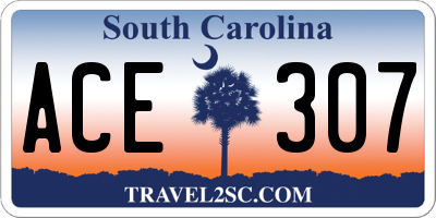 SC license plate ACE307