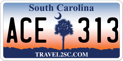 SC license plate ACE313