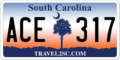 SC license plate ACE317