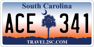 SC license plate ACE341