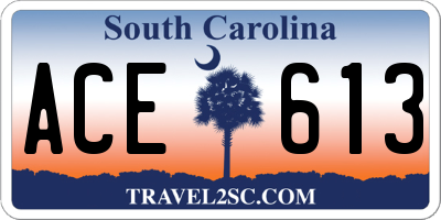 SC license plate ACE613