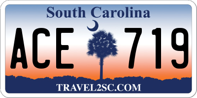 SC license plate ACE719