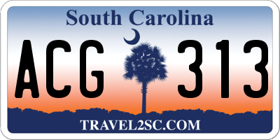 SC license plate ACG313