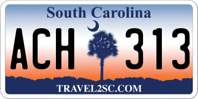 SC license plate ACH313