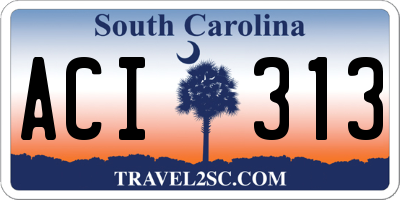 SC license plate ACI313