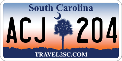 SC license plate ACJ204