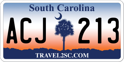 SC license plate ACJ213