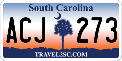 SC license plate ACJ273