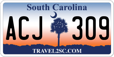 SC license plate ACJ309