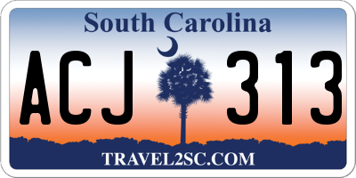 SC license plate ACJ313