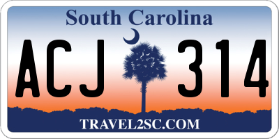 SC license plate ACJ314