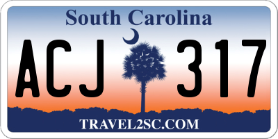 SC license plate ACJ317