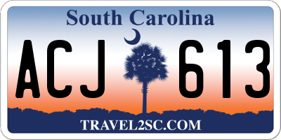 SC license plate ACJ613