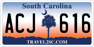 SC license plate ACJ616