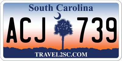 SC license plate ACJ739
