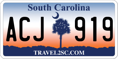 SC license plate ACJ919