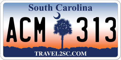 SC license plate ACM313