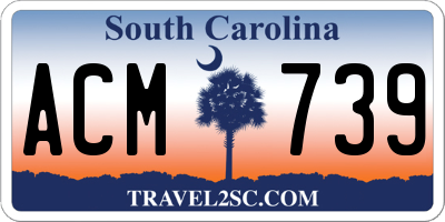 SC license plate ACM739