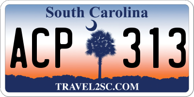 SC license plate ACP313