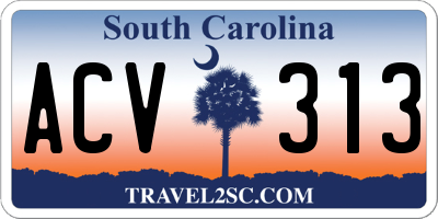 SC license plate ACV313