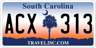 SC license plate ACX313