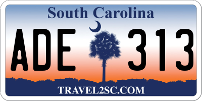 SC license plate ADE313