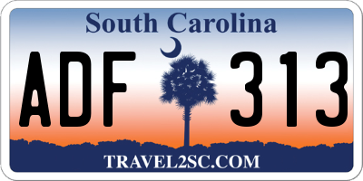 SC license plate ADF313