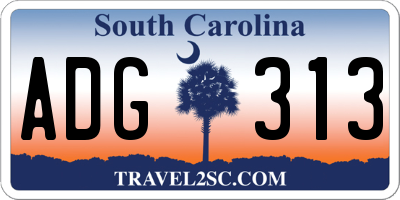SC license plate ADG313
