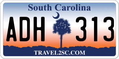 SC license plate ADH313