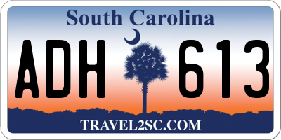 SC license plate ADH613