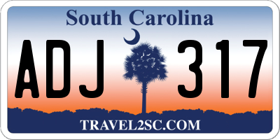 SC license plate ADJ317