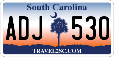 SC license plate ADJ530