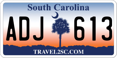 SC license plate ADJ613