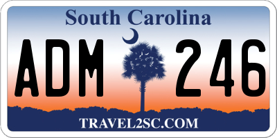SC license plate ADM246