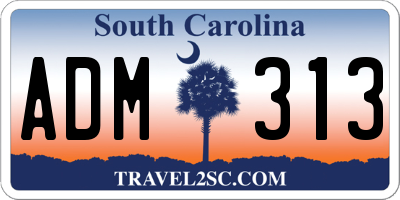 SC license plate ADM313