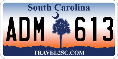 SC license plate ADM613