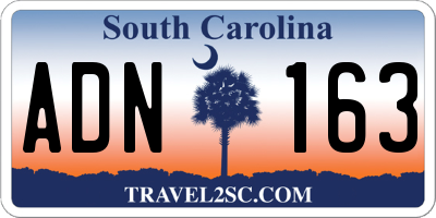 SC license plate ADN163