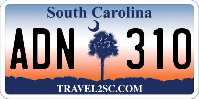 SC license plate ADN310
