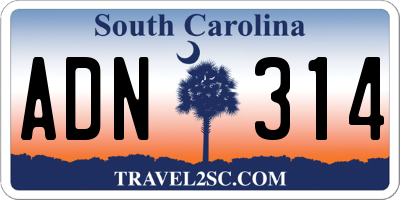SC license plate ADN314