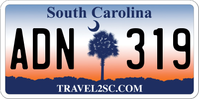 SC license plate ADN319