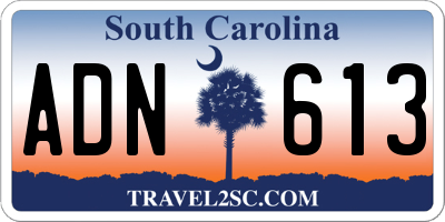 SC license plate ADN613