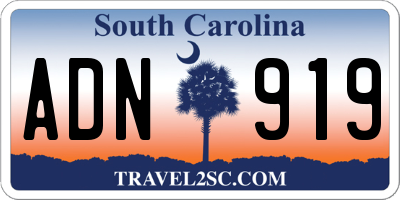 SC license plate ADN919