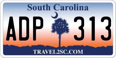SC license plate ADP313