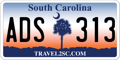 SC license plate ADS313