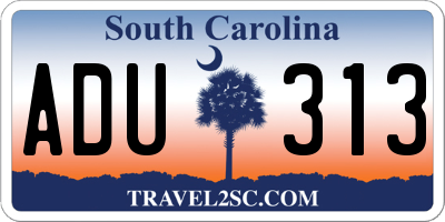 SC license plate ADU313