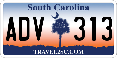 SC license plate ADV313