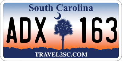 SC license plate ADX163
