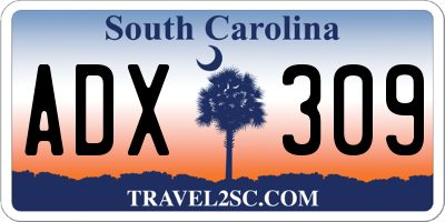 SC license plate ADX309